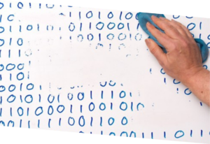 Read more about the article Managing your footprints: How to navigate the forest